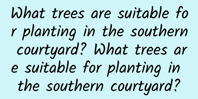What trees are suitable for planting in the southern courtyard? What trees are suitable for planting in the southern courtyard?