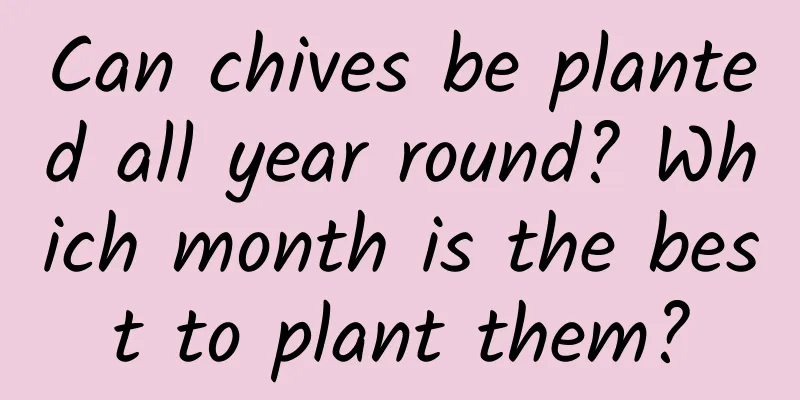 Can chives be planted all year round? Which month is the best to plant them?