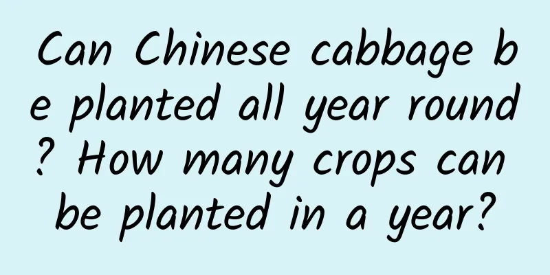 Can Chinese cabbage be planted all year round? How many crops can be planted in a year?