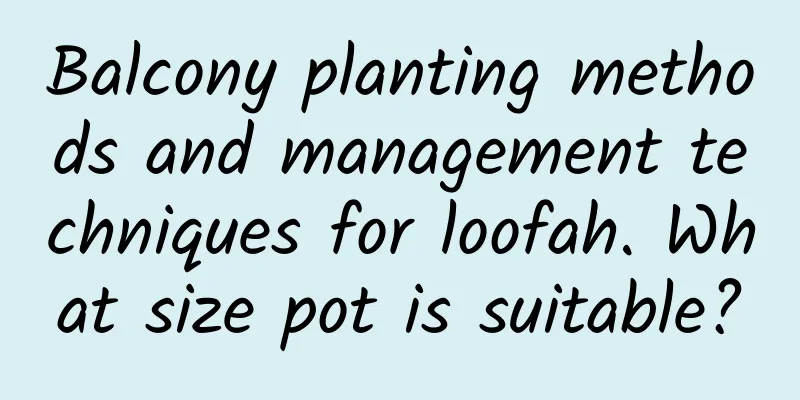 Balcony planting methods and management techniques for loofah. What size pot is suitable?