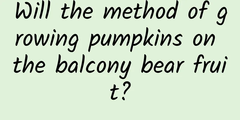 Will the method of growing pumpkins on the balcony bear fruit?