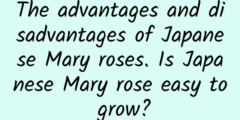 The advantages and disadvantages of Japanese Mary roses. Is Japanese Mary rose easy to grow?