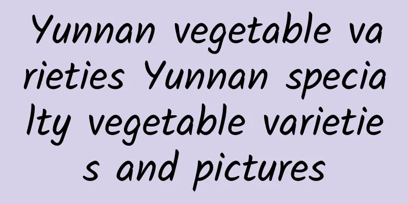 Yunnan vegetable varieties Yunnan specialty vegetable varieties and pictures
