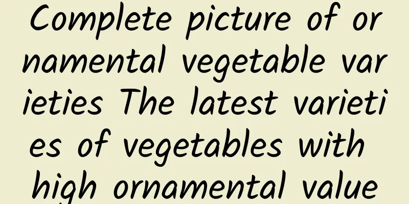 Complete picture of ornamental vegetable varieties The latest varieties of vegetables with high ornamental value