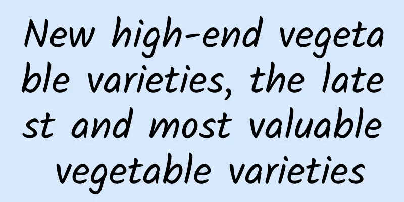 New high-end vegetable varieties, the latest and most valuable vegetable varieties