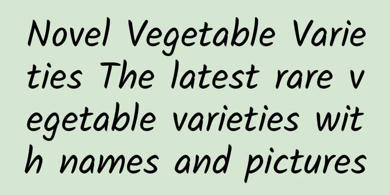 Novel Vegetable Varieties The latest rare vegetable varieties with names and pictures