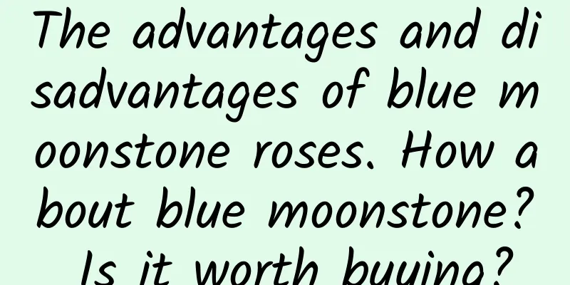 The advantages and disadvantages of blue moonstone roses. How about blue moonstone? Is it worth buying?