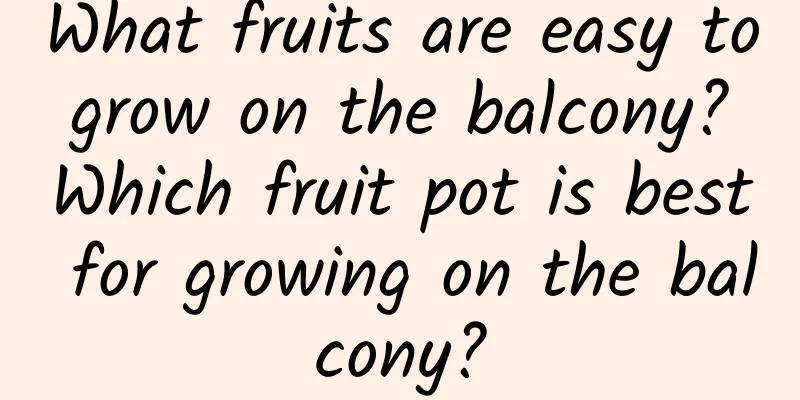 What fruits are easy to grow on the balcony? Which fruit pot is best for growing on the balcony?
