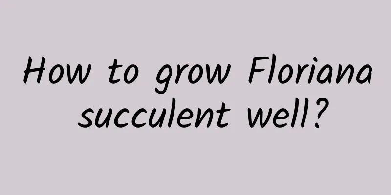 How to grow Floriana succulent well?