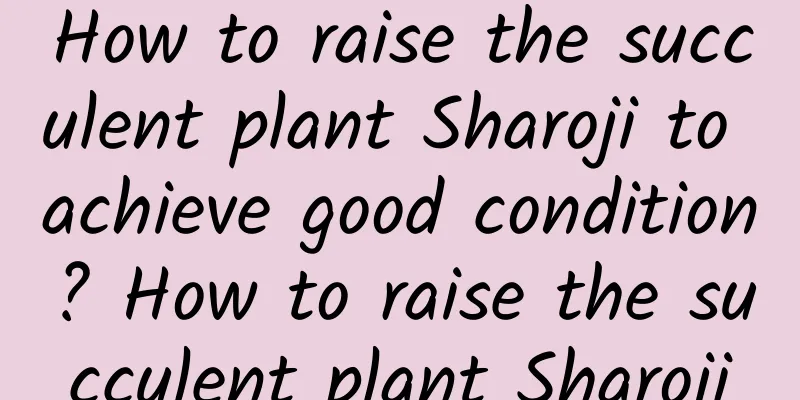 How to raise the succulent plant Sharoji to achieve good condition? How to raise the succulent plant Sharoji