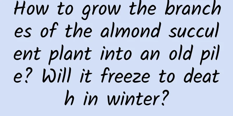 How to grow the branches of the almond succulent plant into an old pile? Will it freeze to death in winter?