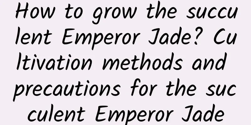 How to grow the succulent Emperor Jade? Cultivation methods and precautions for the succulent Emperor Jade