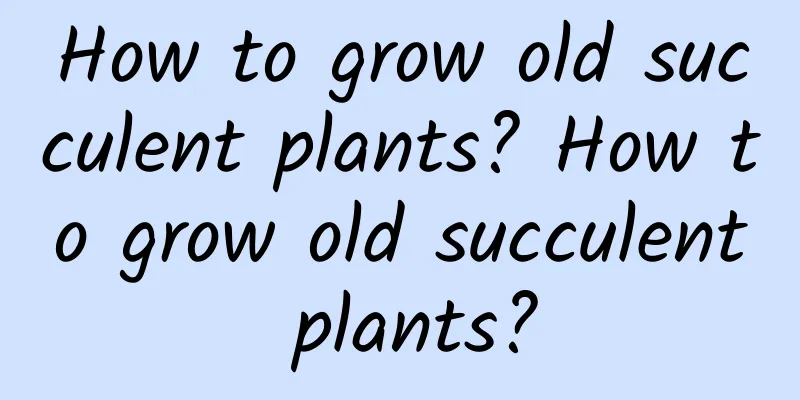 How to grow old succulent plants? How to grow old succulent plants?