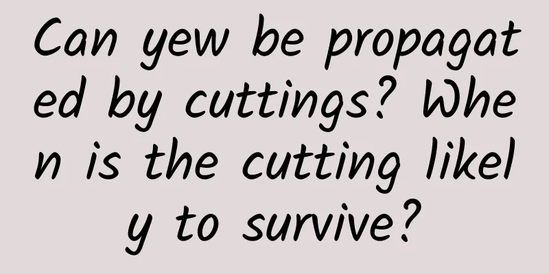Can yew be propagated by cuttings? When is the cutting likely to survive?