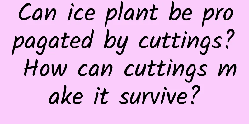Can ice plant be propagated by cuttings? How can cuttings make it survive?