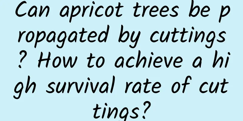 Can apricot trees be propagated by cuttings? How to achieve a high survival rate of cuttings?