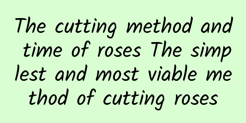 The cutting method and time of roses The simplest and most viable method of cutting roses