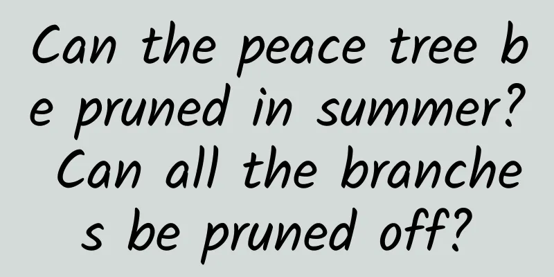 Can the peace tree be pruned in summer? Can all the branches be pruned off?