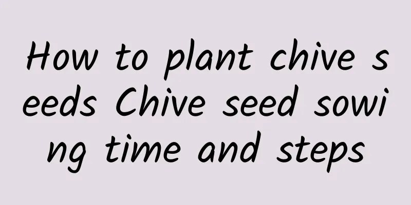 How to plant chive seeds Chive seed sowing time and steps