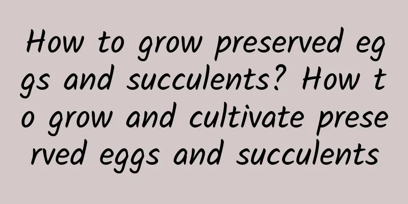 How to grow preserved eggs and succulents? How to grow and cultivate preserved eggs and succulents