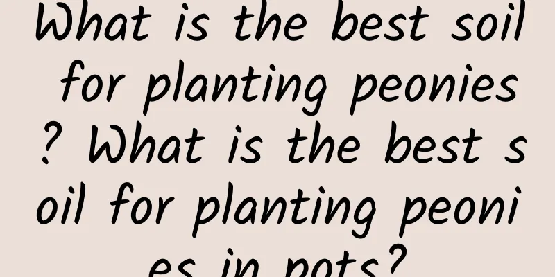 What is the best soil for planting peonies? What is the best soil for planting peonies in pots?