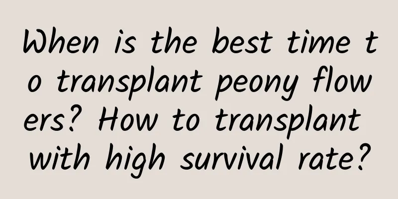 When is the best time to transplant peony flowers? How to transplant with high survival rate?