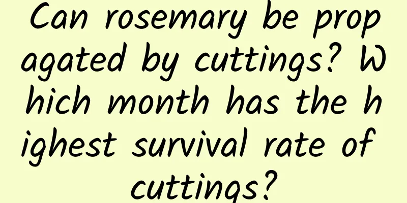 Can rosemary be propagated by cuttings? Which month has the highest survival rate of cuttings?