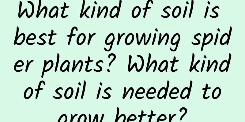 What kind of soil is best for growing spider plants? What kind of soil is needed to grow better?