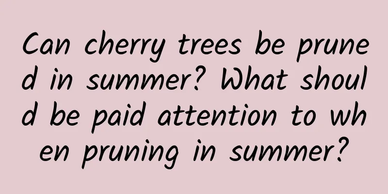 Can cherry trees be pruned in summer? What should be paid attention to when pruning in summer?