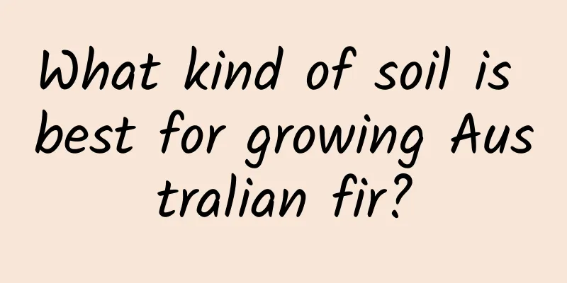 What kind of soil is best for growing Australian fir?