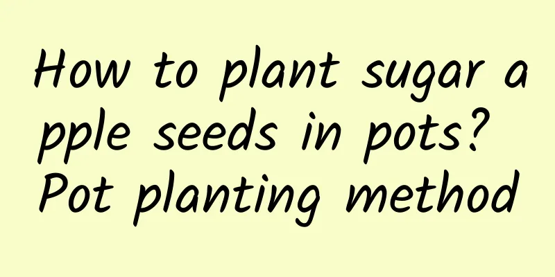 How to plant sugar apple seeds in pots? Pot planting method