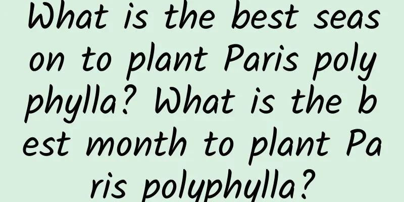 What is the best season to plant Paris polyphylla? What is the best month to plant Paris polyphylla?