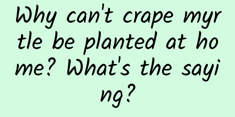 Why can't crape myrtle be planted at home? What's the saying?