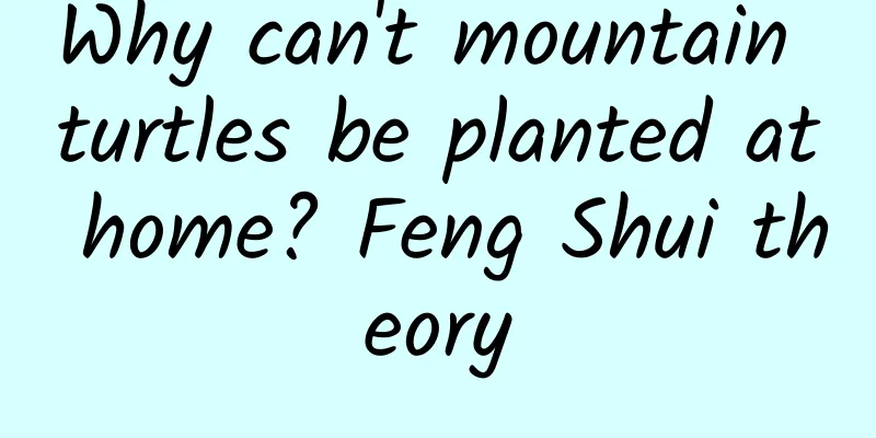 Why can't mountain turtles be planted at home? Feng Shui theory