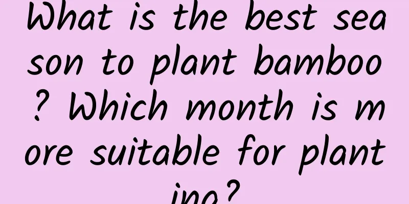 What is the best season to plant bamboo? Which month is more suitable for planting?