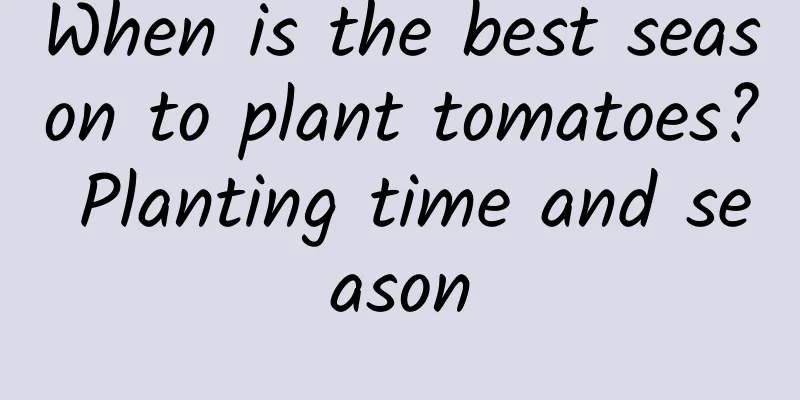 When is the best season to plant tomatoes? Planting time and season