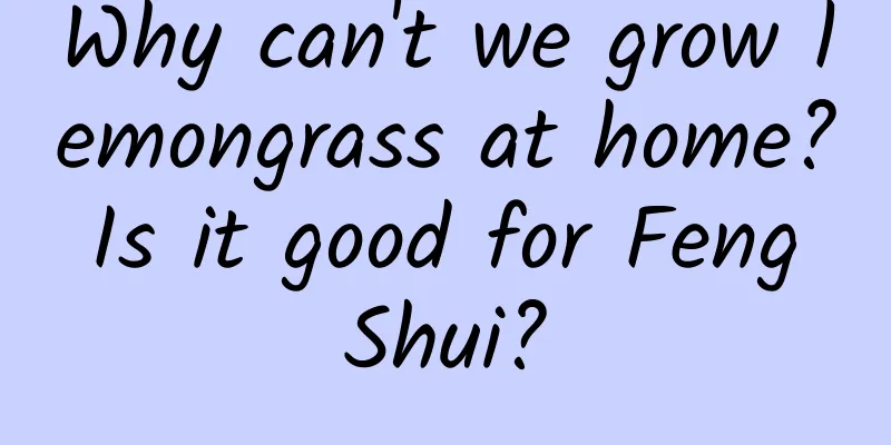 Why can't we grow lemongrass at home? Is it good for Feng Shui?