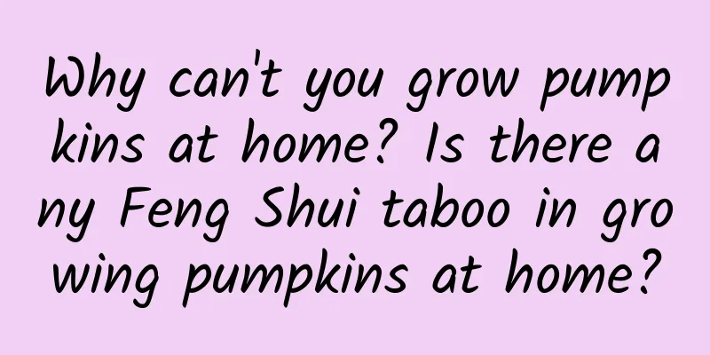 Why can't you grow pumpkins at home? Is there any Feng Shui taboo in growing pumpkins at home?