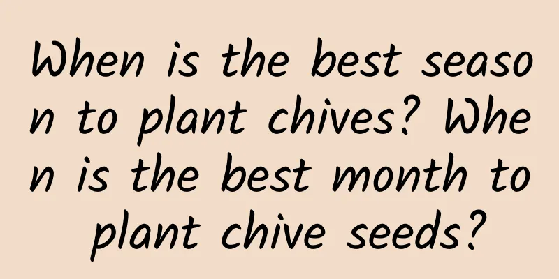 When is the best season to plant chives? When is the best month to plant chive seeds?