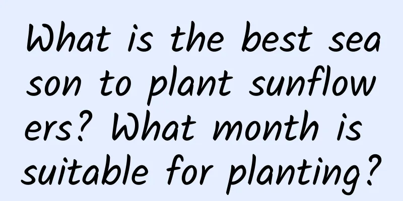 What is the best season to plant sunflowers? What month is suitable for planting?