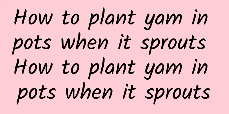 How to plant yam in pots when it sprouts How to plant yam in pots when it sprouts