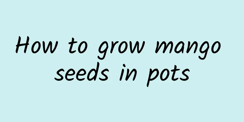 How to grow mango seeds in pots