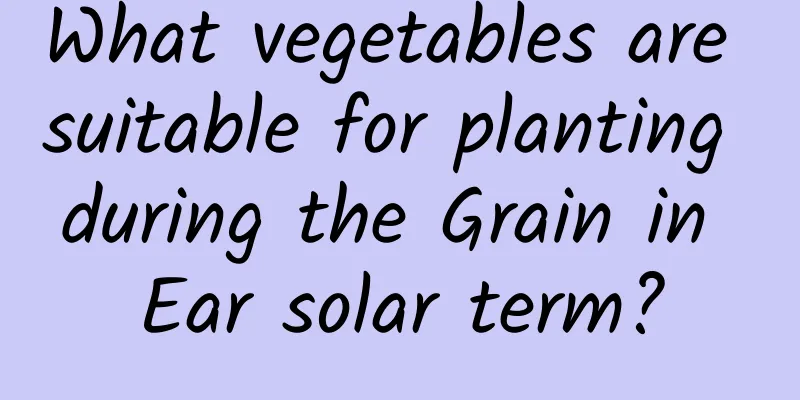 What vegetables are suitable for planting during the Grain in Ear solar term?