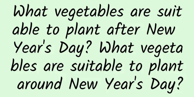 What vegetables are suitable to plant after New Year's Day? What vegetables are suitable to plant around New Year's Day?
