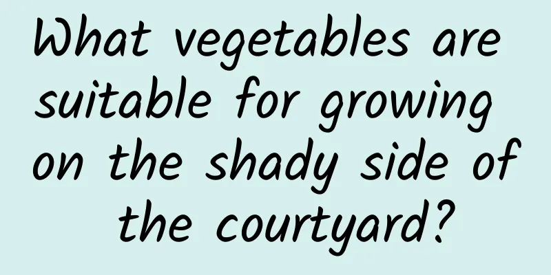 What vegetables are suitable for growing on the shady side of the courtyard?
