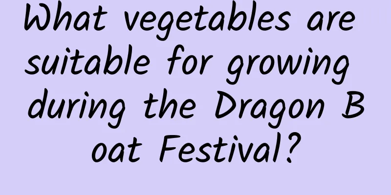 What vegetables are suitable for growing during the Dragon Boat Festival?