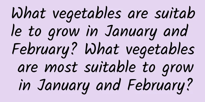 What vegetables are suitable to grow in January and February? What vegetables are most suitable to grow in January and February?