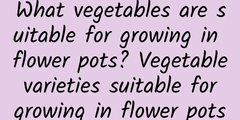What vegetables are suitable for growing in flower pots? Vegetable varieties suitable for growing in flower pots