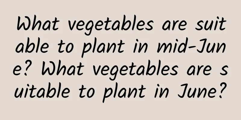 What vegetables are suitable to plant in mid-June? What vegetables are suitable to plant in June?