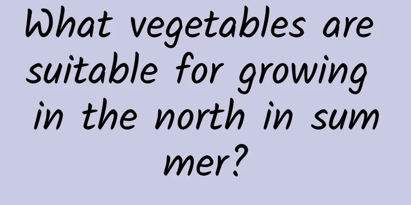 What vegetables are suitable for growing in the north in summer?